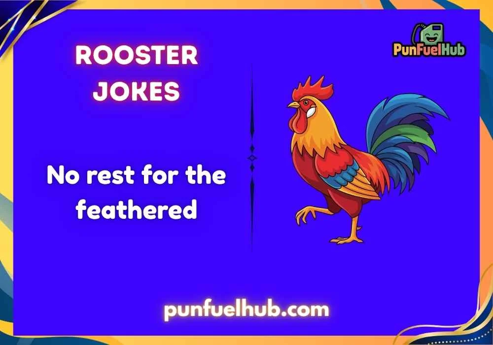 Rooster Jokes